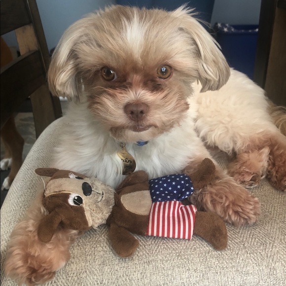 Meet your Posher, A - Picture 1 of 1